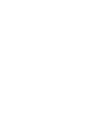 Amit travels Servise